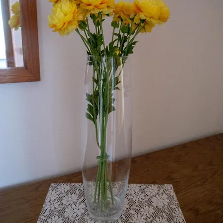 Haus Berta *