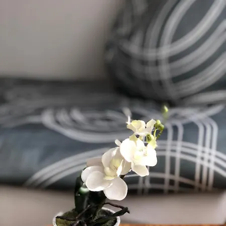 Haus Berta 브라우나우 암 인